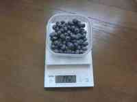 blueberry-20200629_01.jpg