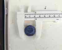 blueberry-20250615_05.jpg