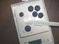 blueberry-20250625_03.jpg