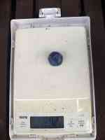 blueberry-20250629_02.jpg