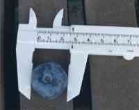 blueberry-20250629_03.jpg