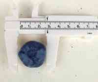 blueberry-20250702_02.jpg