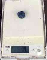 blueberry-20250702_03.jpg