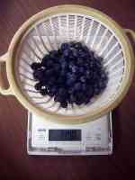 blueberry-20250721_04.jpg