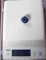 blueberry-20250721_05.jpg