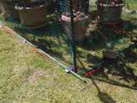 blueberry-20260505_03.jpg