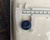 blueberry-20260614_02.jpg