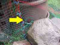 blueberry-20260628_05.jpg