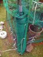 blueberry-20260628_08.jpg