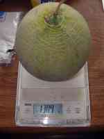 melon-20250825_02.jpg