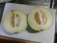 melon-20250905_01.jpg
