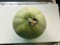 melon-20260906_04.jpg