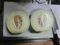 melon-20260912_02.jpg