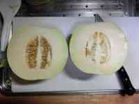 melon-20260916_02.jpg