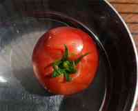 tomato-20130804_10.jpg